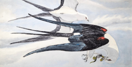 Rex Brasher: Swallow Tail Kite