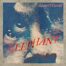 Adam O Farrill - ELEPHANT cover